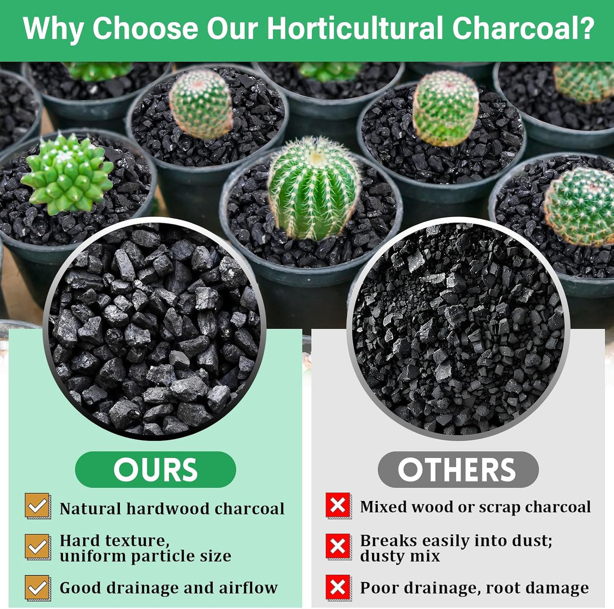 6-Quart Horticultural Charcoal - Natural Biochar Soil Amendment for Improved Drainage and Aeration, Perfect for Plants, Terrariums, Orchids, Succulents, Bonsai, and Potting Mix