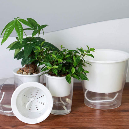 Set of 3 Large 7-Inch Clear Self-Watering Planters for Indoor Plants, Herbs, and Orchids - Perfect for African Violets and Ocean Spider Plants