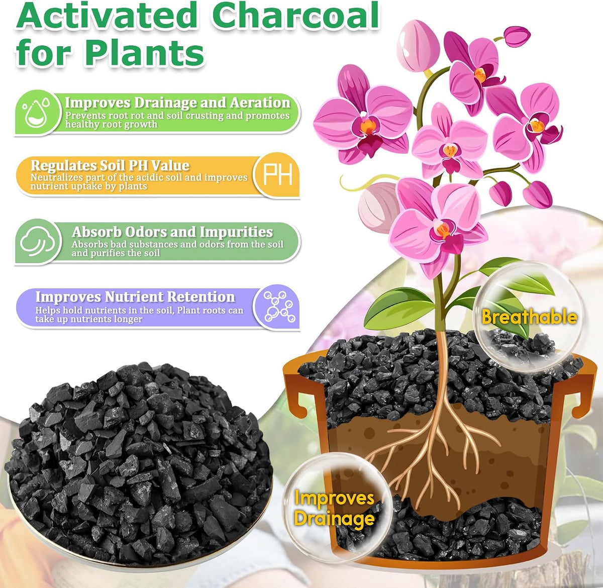 6-Quart Horticultural Charcoal - Natural Biochar Soil Amendment for Improved Drainage and Aeration, Perfect for Plants, Terrariums, Orchids, Succulents, Bonsai, and Potting Mix