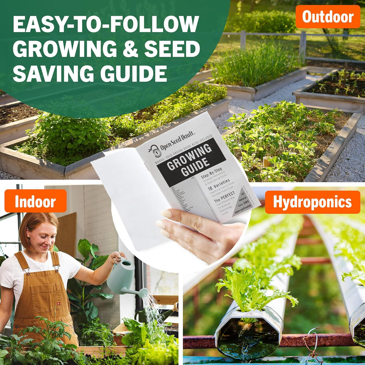 Non-GMO Vegetable and Fruit Seed Collection - 32 Variety Packs with Over 15,000 Seeds