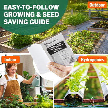 Non-GMO Vegetable and Fruit Seed Collection - 32 Variety Packs with Over 15,000 Seeds