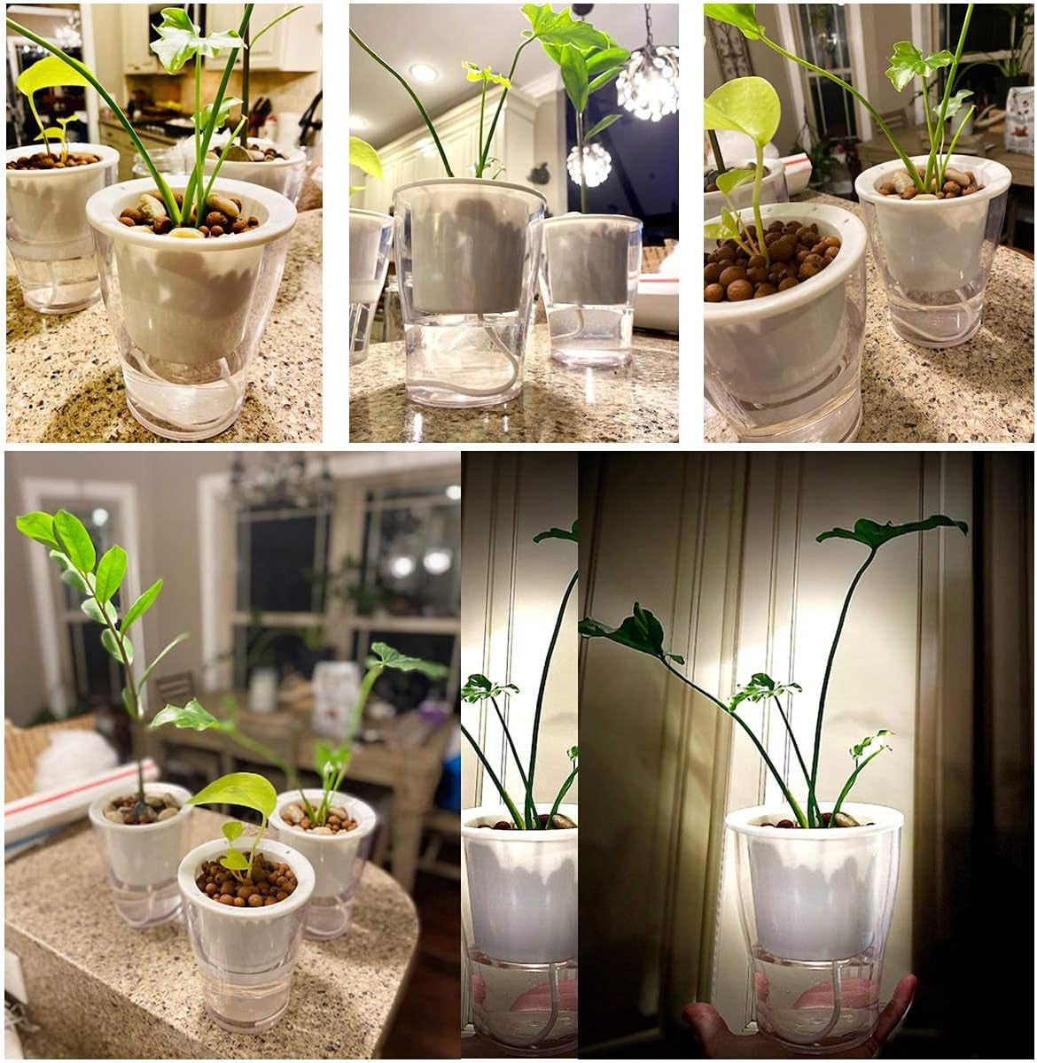 Set of 3 Large 7-Inch Clear Self-Watering Planters for Indoor Plants, Herbs, and Orchids - Perfect for African Violets and Ocean Spider Plants