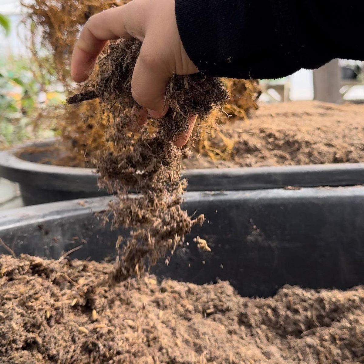 High-Performance Mineral-Based Soil for Enhanced Root Growth