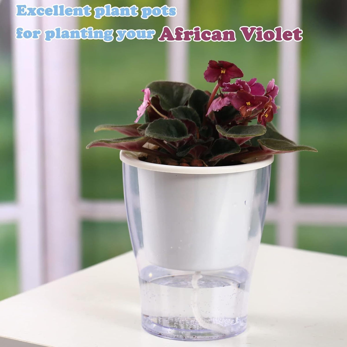 Set of 3 Large 7-Inch Clear Self-Watering Planters for Indoor Plants, Herbs, and Orchids - Perfect for African Violets and Ocean Spider Plants