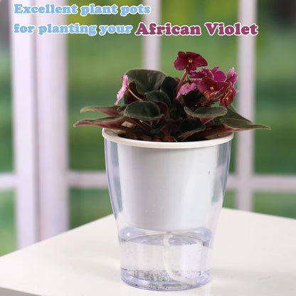 Set of 3 Large 7-Inch Clear Self-Watering Planters for Indoor Plants, Herbs, and Orchids - Perfect for African Violets and Ocean Spider Plants