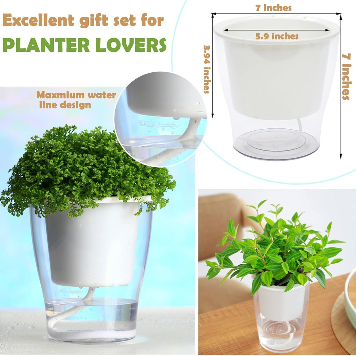 Set of 3 Large 7-Inch Clear Self-Watering Planters for Indoor Plants, Herbs, and Orchids - Perfect for African Violets and Ocean Spider Plants