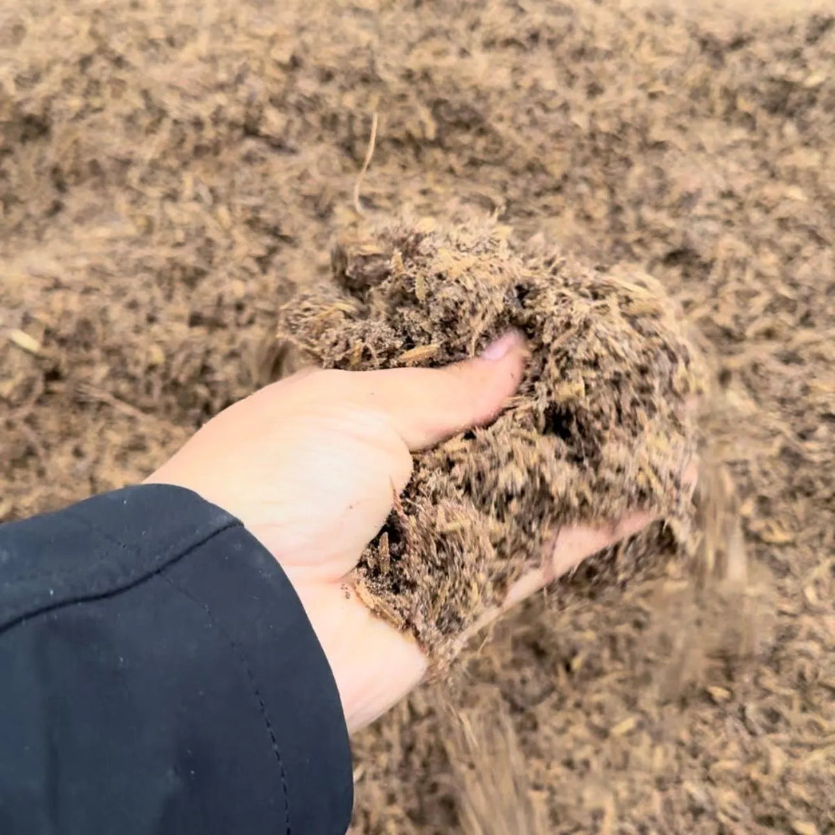 High-Performance Mineral-Based Soil for Enhanced Root Growth