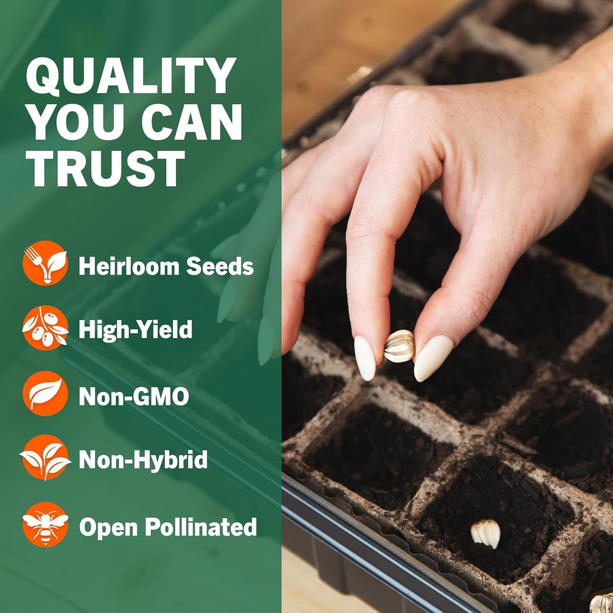 Non-GMO Vegetable and Fruit Seed Collection - 32 Variety Packs with Over 15,000 Seeds