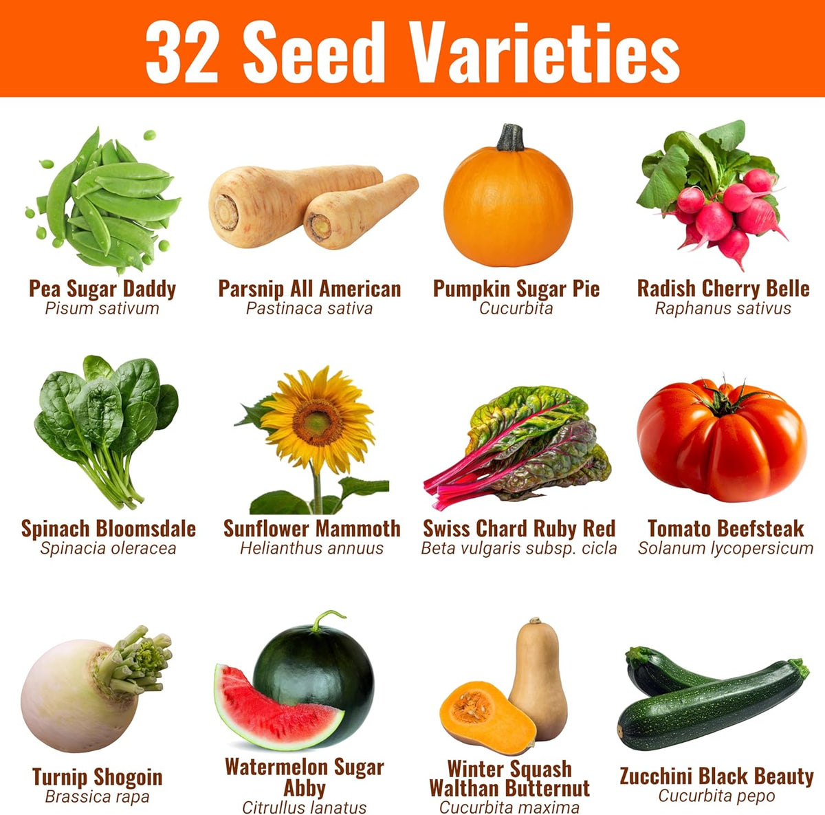 Non-GMO Vegetable and Fruit Seed Collection - 32 Variety Packs with Over 15,000 Seeds