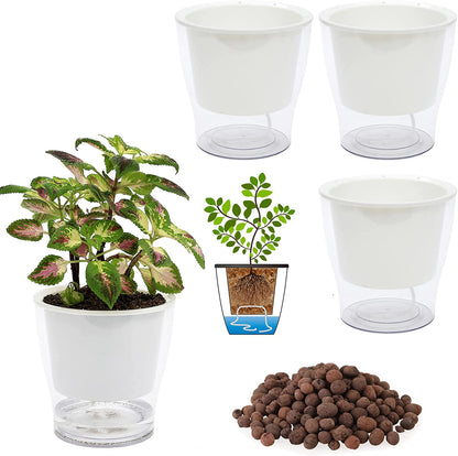 Set of 3 Large 7-Inch Clear Self-Watering Planters for Indoor Plants, Herbs, and Orchids - Perfect for African Violets and Ocean Spider Plants