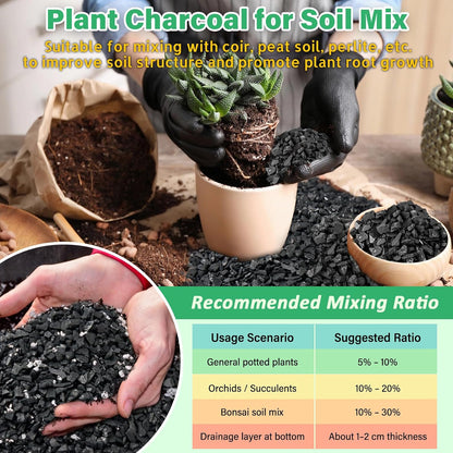6-Quart Horticultural Charcoal - Natural Biochar Soil Amendment for Improved Drainage and Aeration, Perfect for Plants, Terrariums, Orchids, Succulents, Bonsai, and Potting Mix