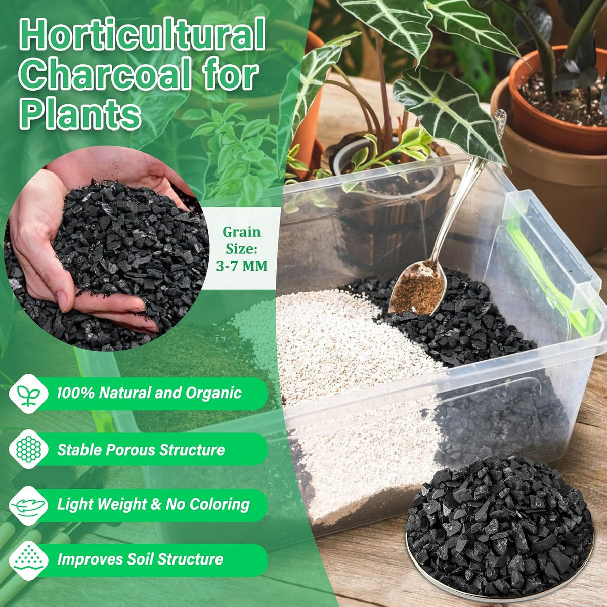 6-Quart Horticultural Charcoal - Natural Biochar Soil Amendment for Improved Drainage and Aeration, Perfect for Plants, Terrariums, Orchids, Succulents, Bonsai, and Potting Mix