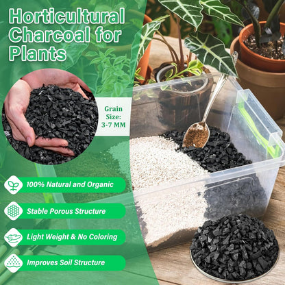 6-Quart Horticultural Charcoal - Natural Biochar Soil Amendment for Improved Drainage and Aeration, Perfect for Plants, Terrariums, Orchids, Succulents, Bonsai, and Potting Mix