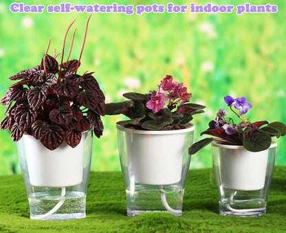 Set of 3 Large 7-Inch Clear Self-Watering Planters for Indoor Plants, Herbs, and Orchids - Perfect for African Violets and Ocean Spider Plants