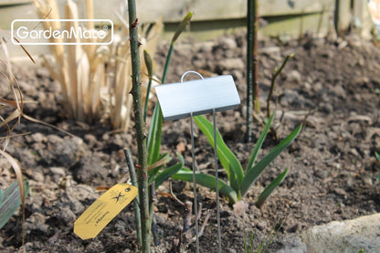 25-Pack Weatherproof Large Zinc Metal Plant Labels - 11.5" Height with 3.5" x 1.25" Label Area