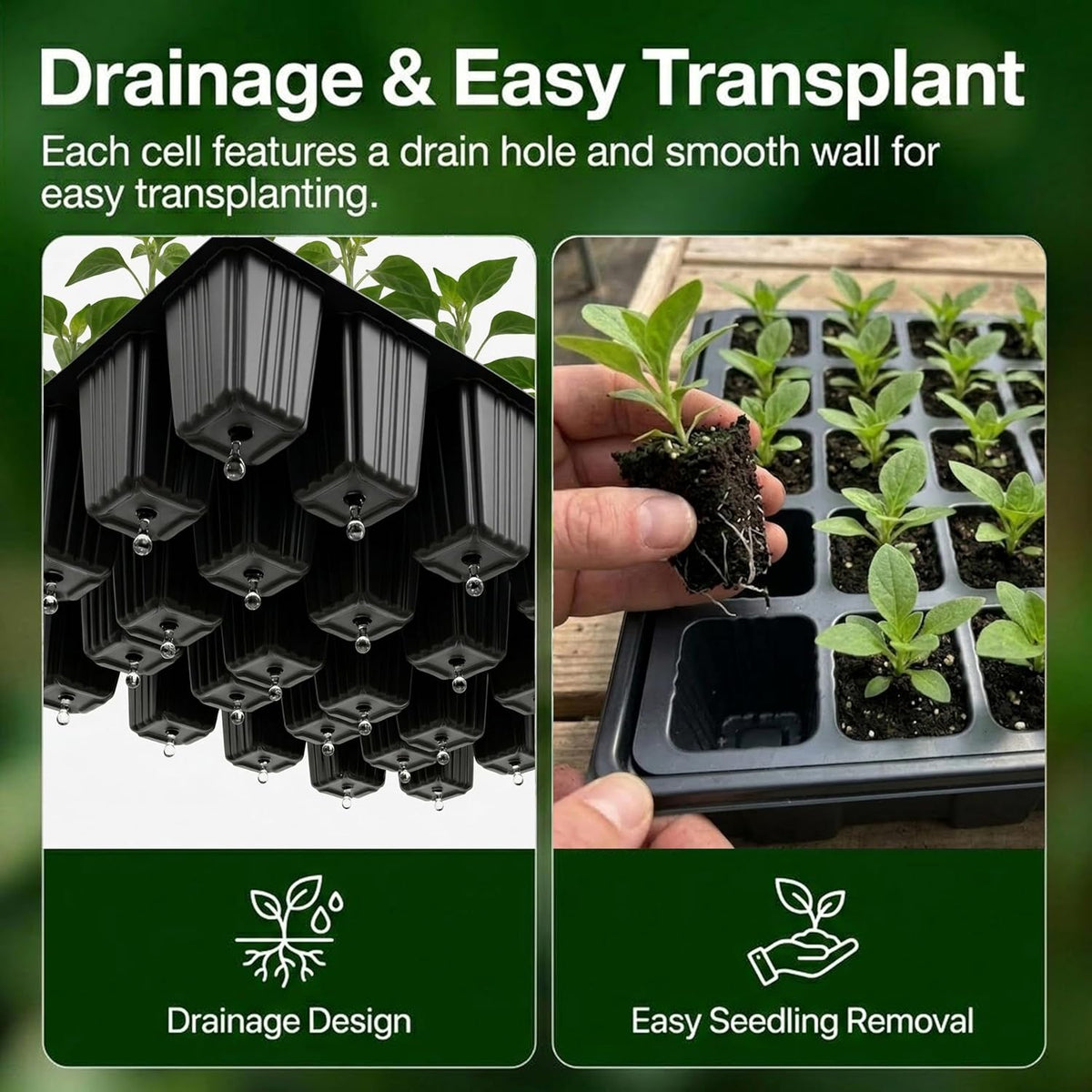 5-Piece Seed Starter Tray Kit with Humidity-Controlled Vented Domes and Bases for Indoor Gardening, Greenhouse Applications, and Seed Germination (200 Cells Total)