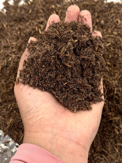 High-Performance Mineral-Based Soil for Enhanced Root Growth